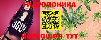 крисы Рыбинск